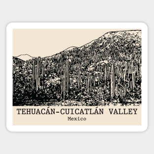 Tehuacán-Cuicatlán Valley - Mexico Magnet
